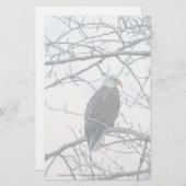 bestürzt (Vorne/Hinten)