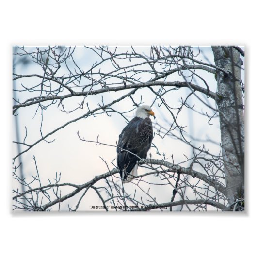 bestürzt fotodruck (Vorne)