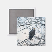 bestürzt magnet (Vorderseite/Rückseite)