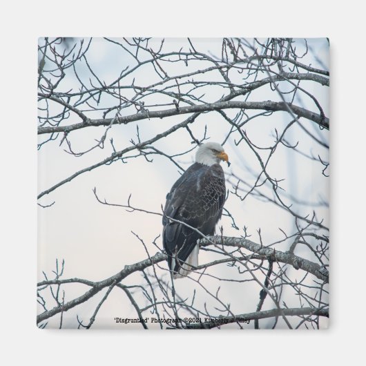 bestürzt magnet (Vorne)