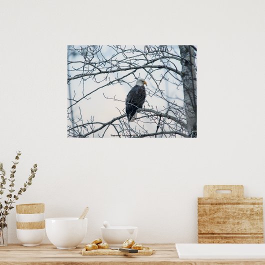 bestürzt poster (Küche)