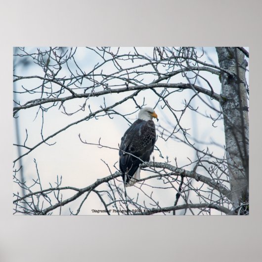 bestürzt poster (Vorne)