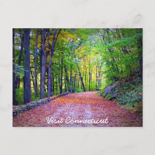 Besuch der Postkarte Connecticut (Vorderseite)