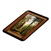 Besuch Mariposa Grove Magnet (Linke Seite)