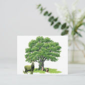 Besuch mit Vatereiche Postkarte (Stehend Vorderseite)