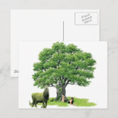 Besuch mit Vatereiche Postkarte (Vorne/Hinten)