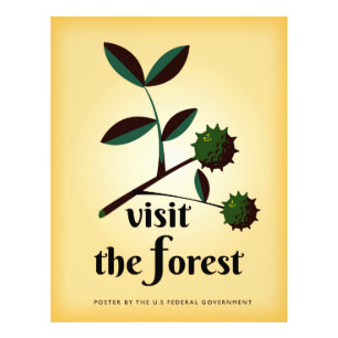 Besuchen Sie den Wald USA Vintage Poster. Fotodruck