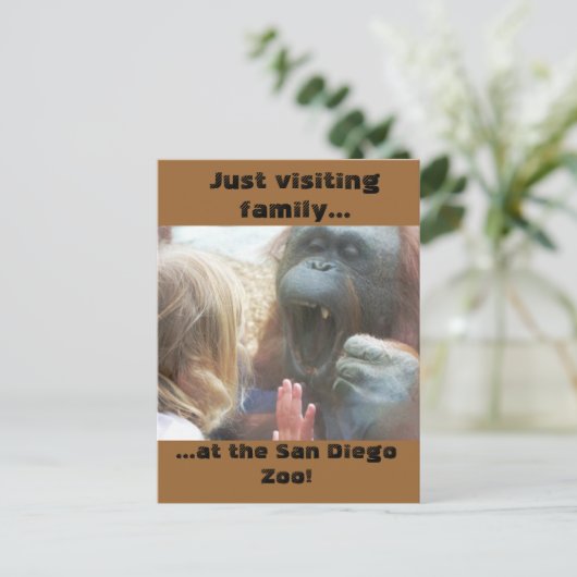 Besuchen Sie Familie im San Diego Zoo Postcard Postkarte (Stehend Vorderseite)