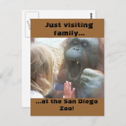 Besuchen Sie Familie im San Diego Zoo Postcard Postkarte (Vorne/Hinten)