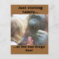 Besuchen Sie Familie im San Diego Zoo Postcard