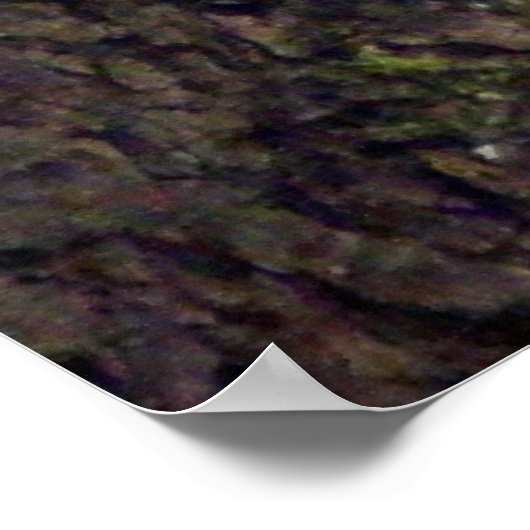 Besucher Poster (Ecke)