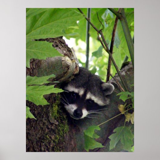 Besucher Poster (Vorne)