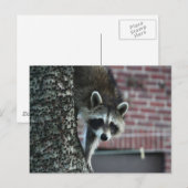 Besucher Postkarte (Vorne/Hinten)