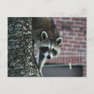 Besucher Postkarte