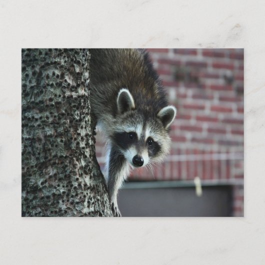 Besucher Postkarte (Vorderseite)