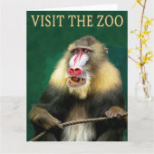 Besucht den Mandrill im Zoo Karte (Gelbe Blume)