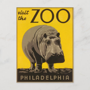 Besucht den Zoo Philadelphia Nilpferd - Vintage WP Postkarte