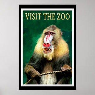 Besucht den Zoo, Vintage-Reiseposter Poster
