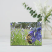 Besy Bee 4 Postkarte (Stehend Vorderseite)