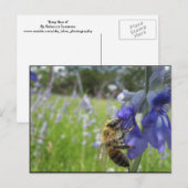 Besy Bee 4 Postkarte (Vorne/Hinten)