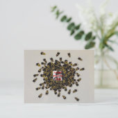 Besy Bee FOTO INSERT ~ Postcard Postkarte (Stehend Vorderseite)
