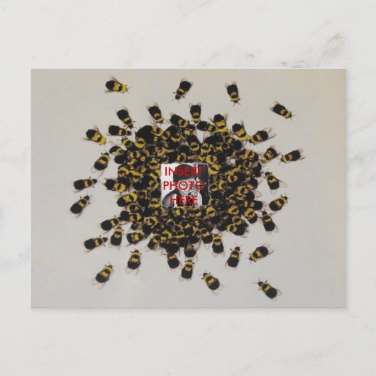 Besy Bee FOTO INSERT ~ Postcard Postkarte (Vorderseite)