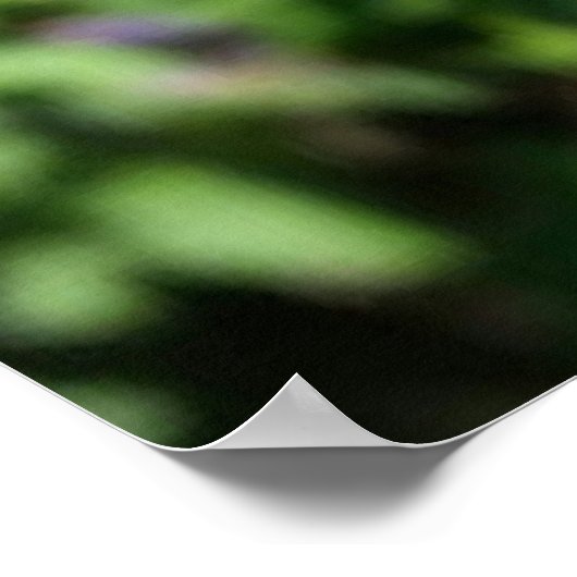 Besy Bee - Gewartet Zimmer bald bei Ihnen sein Poster (Ecke)