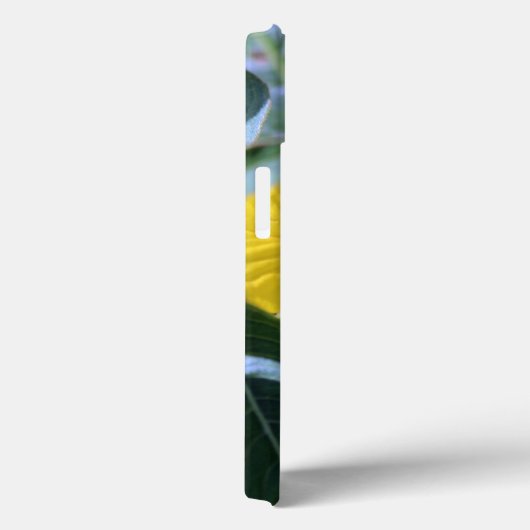 Besy Bee iPhone Fälle Case-Mate iPhone Hülle (Rückseite / Rechts)