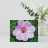 Besy Bee Postcard Postkarte (Stehend Vorderseite)