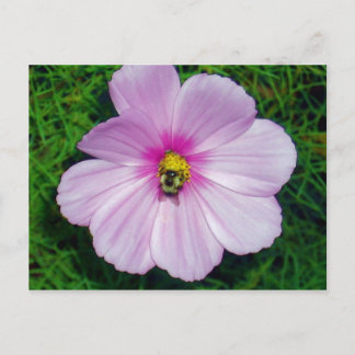 Besy Bee Postcard Postkarte