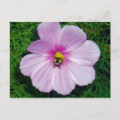 Besy Bee Postcard Postkarte (Vorderseite)