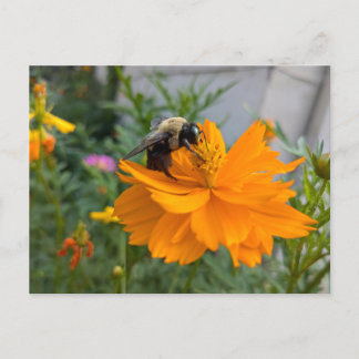 Besy Bee Postcard - von Cottagevale Postkarte