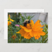 Besy Bee Postcard - von Cottagevale Postkarte (Vorne/Hinten)