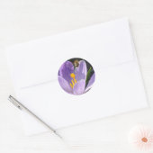 Besy Bee Stickers (Umschlag)