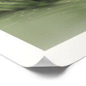 Besy Friends Poster (Ecke)