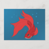 Beta Fish Postkarte (Vorderseite)