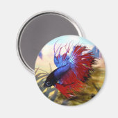 Betafisch Magnet (Vorderseite/Rückseite)