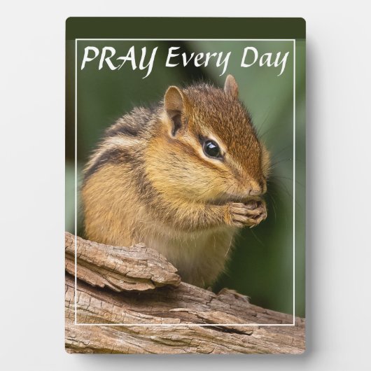 Bete jeden Tag Chipmunk Fotoplatte (Vorderseite)