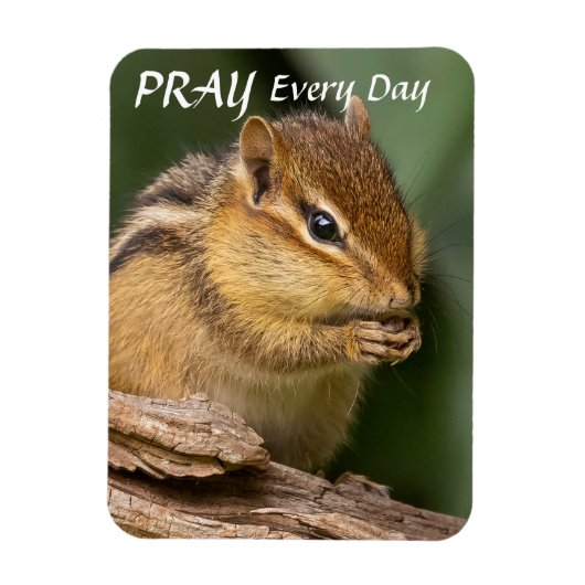 Bete jeden Tag Chipmunk Magnet (Vertikal)