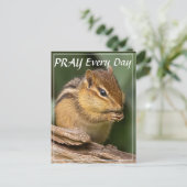 Bete jeden Tag Chipmunk Postkarte (Stehend Vorderseite)