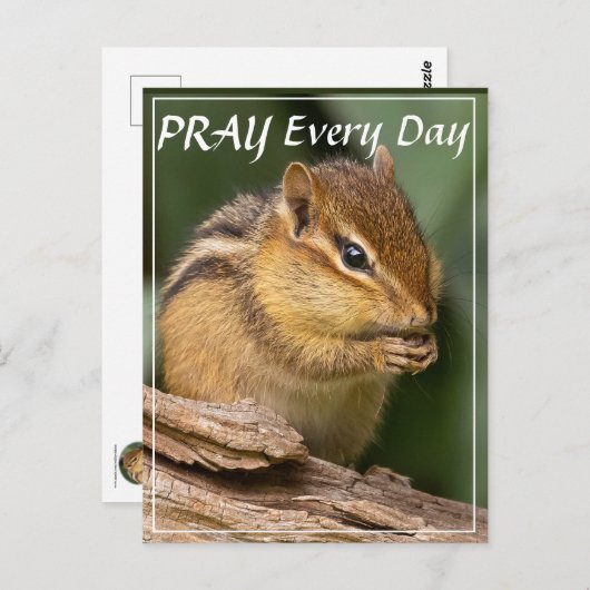 Bete jeden Tag Chipmunk Postkarte (Vorne/Hinten)