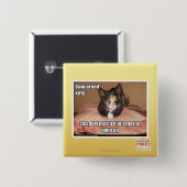 Beteiligte Miezekatze Button (Vorne & Hinten)