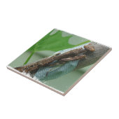 Beten des Mantis-Insekts Fliese (Seite)