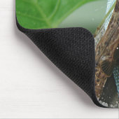 Beten des Mantis-Insekts Mousepad (Ecke)