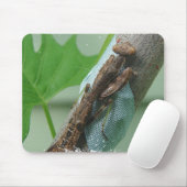 Beten des Mantis-Insekts Mousepad (Mit Mouse)