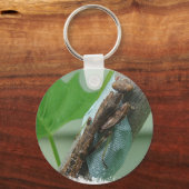 Beten des Mantis-Insekts Schlüsselanhänger (Vorderseite)