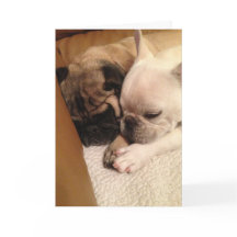 Beten für eine schnelle Erholung