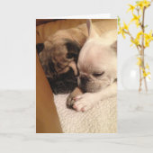 Beten für eine schnelle Erholung Karte (Gelbe Blume)