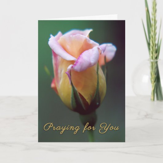 Beten für Ihre Rose Grußkarte Karte (Vorderseite)