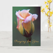 Beten für Ihre Rose Grußkarte Karte (Gelbe Blume)